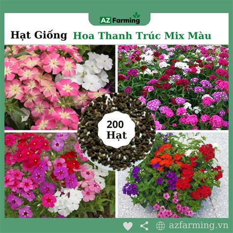 Hạt Giống Hoa Thanh Trúc Mix Nhiều Màu Gói 200 Hạt Az Farming