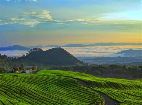 7 Tempat Wisata Gunung Di Subang Cocok Buat Kamu Yang Ingin Liburan