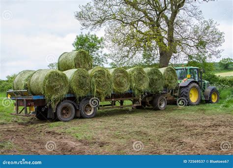 Trailer Loaded With Hay Bales Editorial Photography Image Of Industry