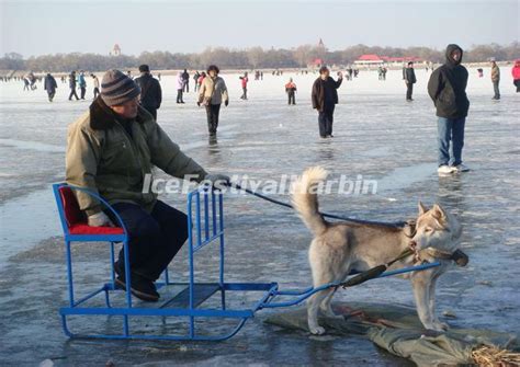 Songhua River in Harbin, Winter Activities on Songhua River, Facts about Songhua River China