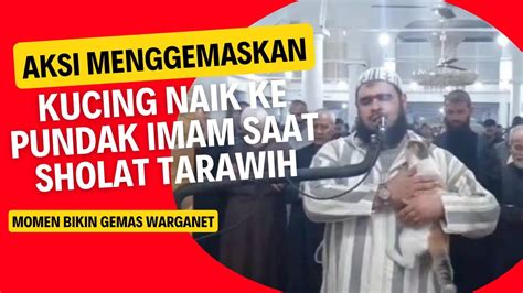 Viral Aksi Menggemaskan Kucing Naik Ke Pundak Imam Saat Sholat Tarawih