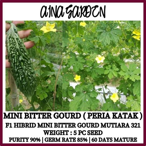 Hsk 5pc Peria Katak Mini Bitter Gourd Mutiara 321 F1 Hibrid Seed