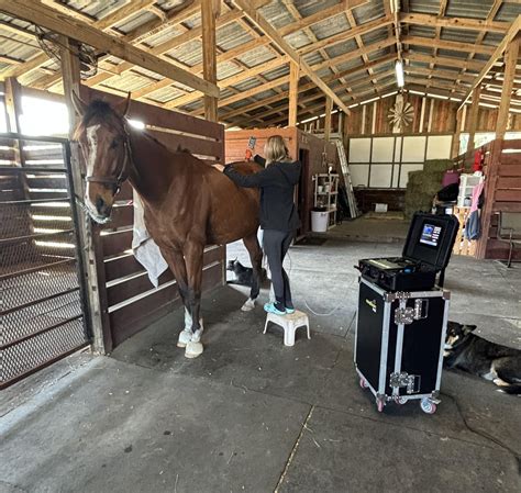 PEMF Vs. Shockwave. In this video we explain the difference. If you are