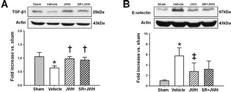 Figure From Cannabinoid Type Receptor Stimulation Attenuates Brain