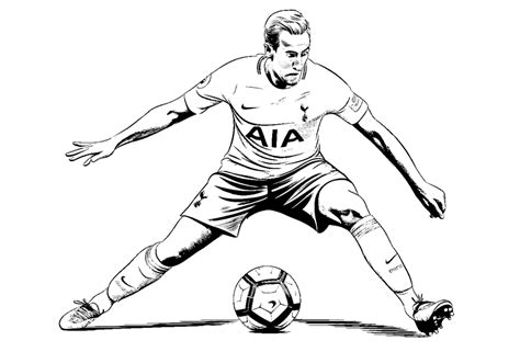 Dibujo De Harry Kane Dibujo Para Colorear De Harry Kane