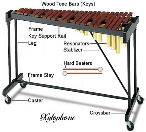 Xylophone, Glockenspiel – musicalhelp.org