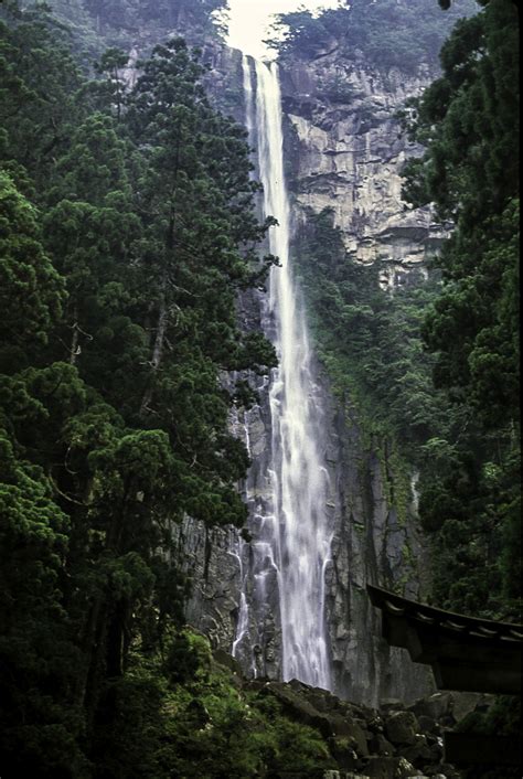 Nachi Falls in Japan image - Free stock photo - Public Domain photo ...