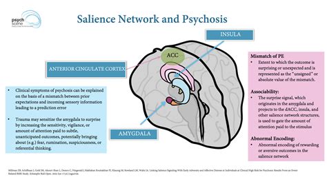 The Dopamine Hypothesis of Schizophrenia - Advances in Neurobiology