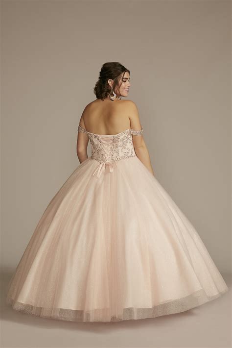 Off The Shoulder Beaded Plus Size Quince Ball Gown Fifteen Roses