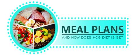 Meal Plans And How Does Hcg Diet Is Set