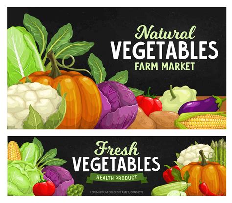 Ripe Farm Vegetables Chalkboard Food Harvest 23543009 Vector Art At