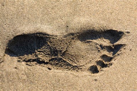 Empreintes De Pas Humaines Sur Le Sable De Plage Photo Stock Image Du