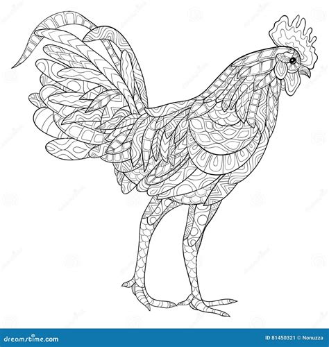 Rooster Stock Vector Illustration Of Line Chicken Adult 81450321