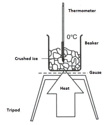 Draw A Labelled Diagram Of The Experimental Setup To Study The Latent