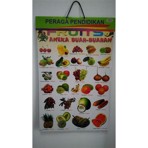 Jual Poster Buah Buahan Fruits Shopee Indonesia