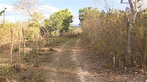 Corpo de jovem sequestrado é encontrado sem um dos olhos e marcas