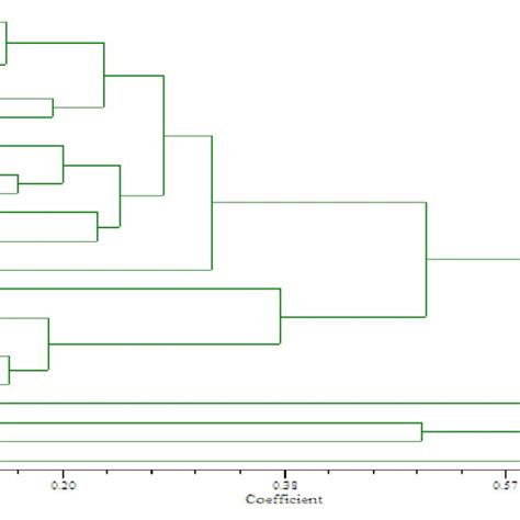 Dendrogram Illustrating Genetic Relationships Among 24 Wheat Accessions