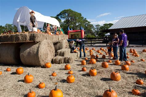 Fantastic Fall Events In Indian River County Visit Indian River County