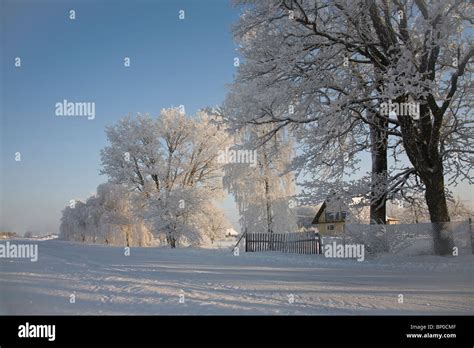 Snowy Winter Landscape, Estonia Stock Photo - Alamy