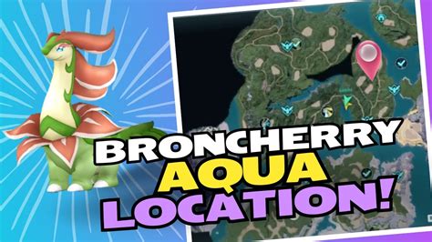 Where To Find Broncherry Aqua Boss Fight Location Palworldhow To