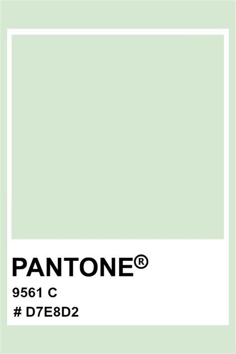 Pin By Love Michaela On A B O D E In 2024 Pantone Colour Palettes Pantone Green Green Colour