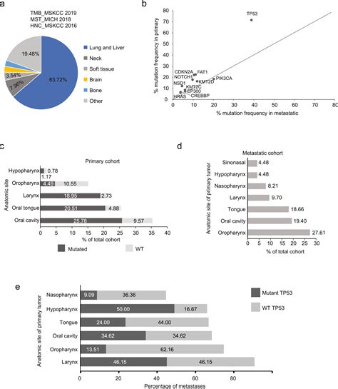 TP53 Mutational Landscape Of Metastatic Head And Neck Cancer Reveals