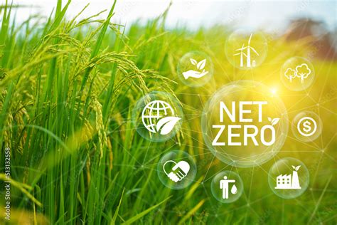 Net Zero and Carbon Neutral Concepts Net Zero Emissions Goals Weather ...