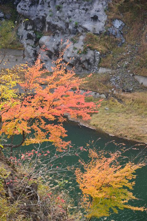 中津峡の紅葉～埼玉県秩父市①（回想） 気まぐれフォトダイアリー