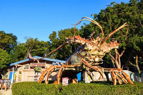 Florida's Unbelievable Giant: The Tale Of Big Betsy, The World's ...