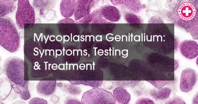 Mycoplasma Genitalium The Symptoms Testing And Treatment