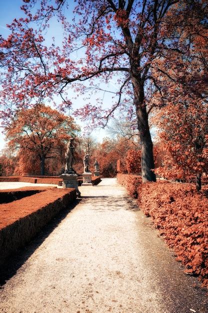 Premium Photo Park At Sunny Autumn Day