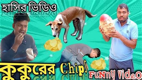 কুকুরের চিপস Funny Video😋😂🤣 Barovai420 Youtube