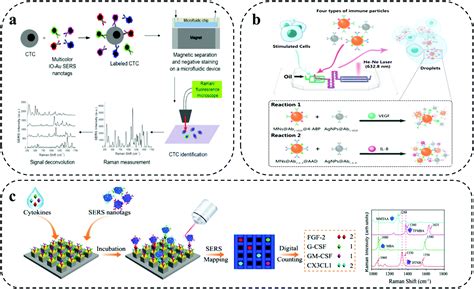 Toward Precision Oncology SERS Microfluidic Systems For Multiplex