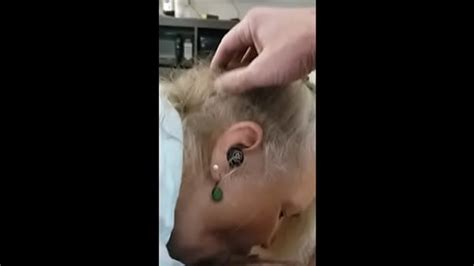 Milf Sucking Cock Compilation Search XVIDEOS