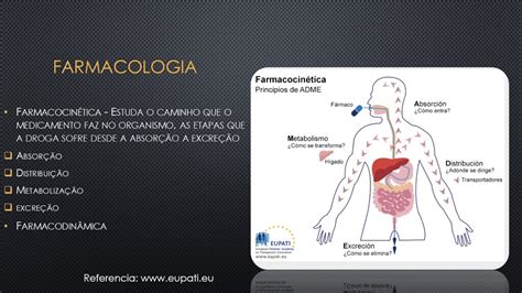 Introdu O A Farmacologia Vias E Sistemas De Administra O Resumos