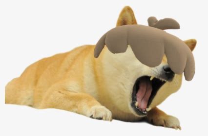 Doge Head PNG Images, Transparent Doge Head Image Download - PNGitem