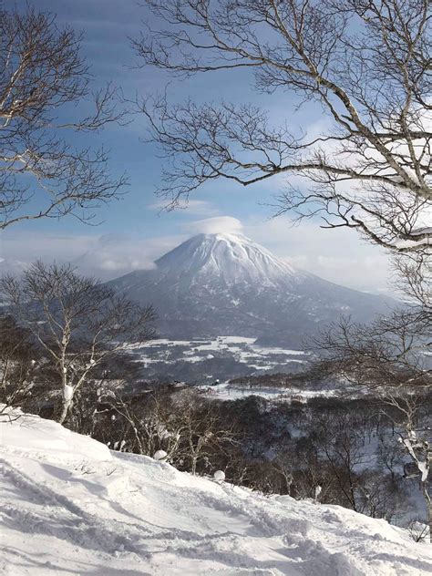 Home - Niseko Village