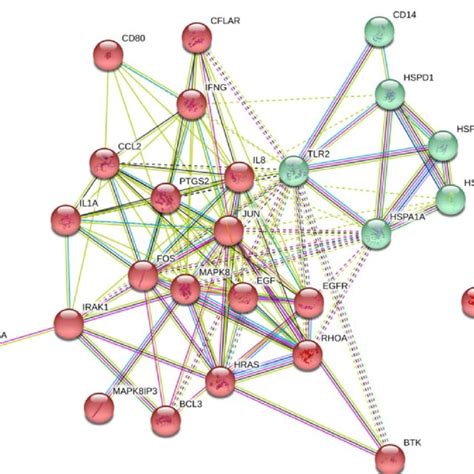 String Protein Protein Interaction Networks For The 21 Selected Genes