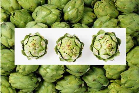 Artichoke Benefits Nutrition Tea Side Effects Ayur Times