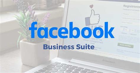 facebook business suite      meta