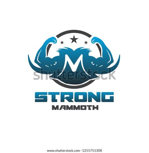 Strong Fitness Logo Designs Stock Vector Royalty Free 1255751308