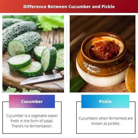 Cucumber vs Pickle: Difference and Comparison