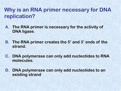 Ppt Dna Replication Powerpoint Presentation Free Download Id 6053651