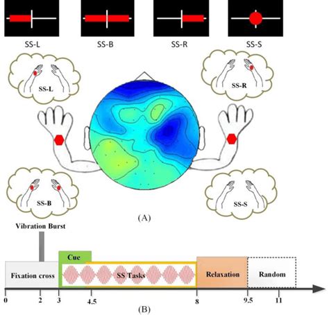 Illustration Of The Experiment Protocol 1 Graphic Representation Of