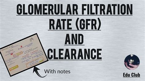 Gfr Determinants Of Gfr Clearance Renal Physiology Youtube