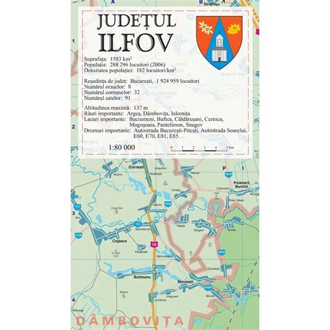 Harta Judetului Ilfov 70x100 Cm Sipci Lemn Emagro