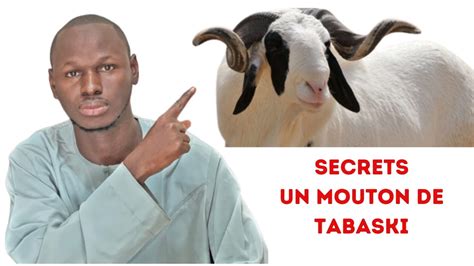 Secret Pour Avoir Un MOUTON De TABASKI En Quelque Jour Insha ALLAH