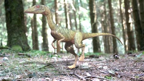 image compypng jurassic park fanon wiki fandom powered  wikia