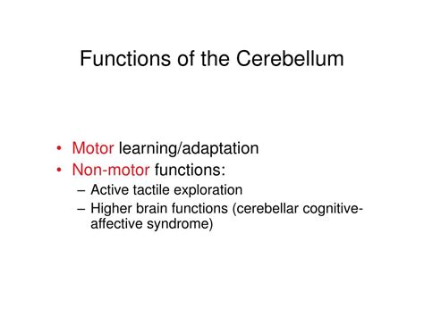 PPT - Cerebellum PowerPoint Presentation, free download - ID:1296218