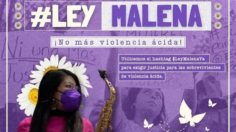 Qu Es La Ley Malena